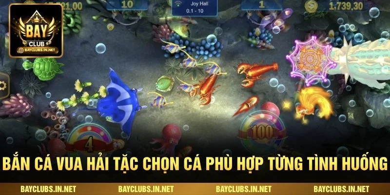 Bắn cá vua hải tặc chọn cá phù hợp từng tình huống