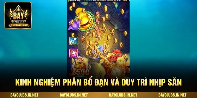 Kinh nghiệm phân bổ đạn và duy trì nhịp săn